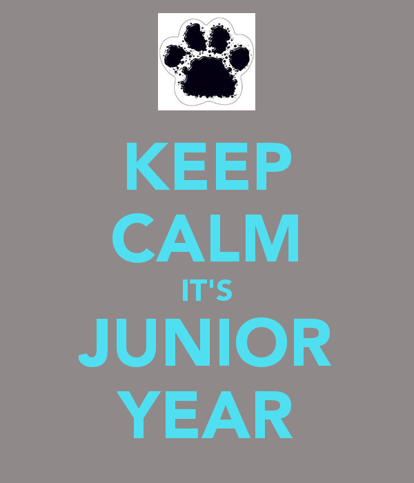 Junior+Year+Joys
