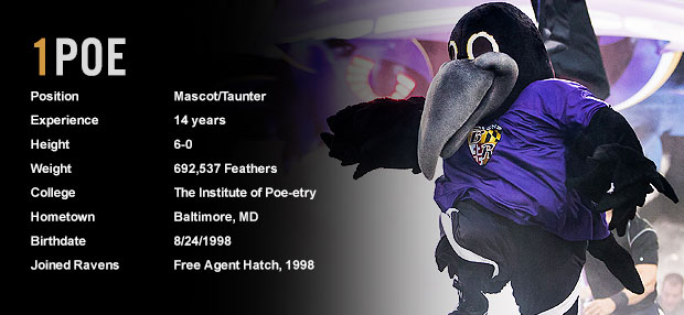 Poe, o mascote simpático do Baltimore Ravens.