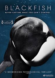 The Truth About Blackfish