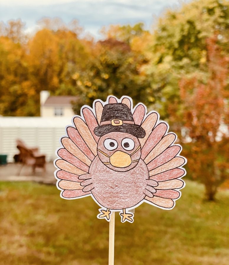 This turkey is ready for fall.