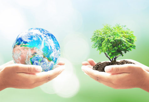 Celebrating Earth Day