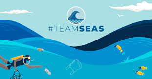 https://teamseas.org/