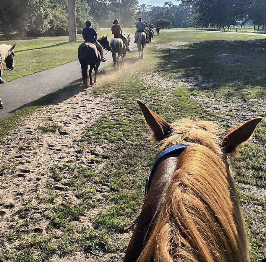 https://www.bedbathandbeyond.com/store/product/one-hour-horseback-trail-ride-by-spur-experiences-hilton-head-sc/5581830?skuId=69695281&utm_medium=social&utm_source=pinterest&utm_campaign=PRO_BBUS_STITCH_PINT_EVG_EVGR_Slideshow%20Beta_PRO_BBUS_STITCH_PINT_EVG_EVGR_GIFTPROD_SLIDE&mcid=SM_SA_PR_CollectionsSlide_BBBY