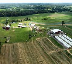 First Fruits Farm [Photograph]. (n.d.). First Fruits Farm. https://www.firstfruitsfarm.org/volunteer